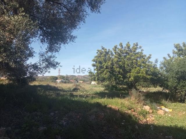 Terreno, Mestrets, Castellón de la Plana / Castello de la Plana