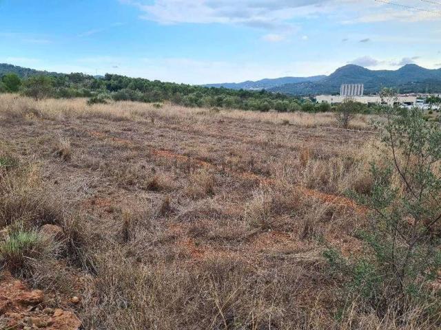 Terreno, Mestrets, Castellón de la Plana / Castello de la Plana
