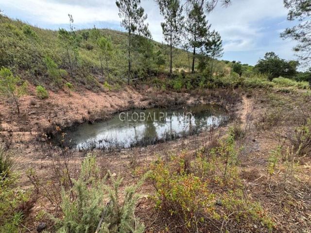 Terreno, Mexilhoeira Grande