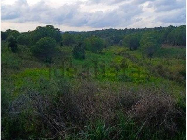 Terreno, Alcoutim e Pereiro