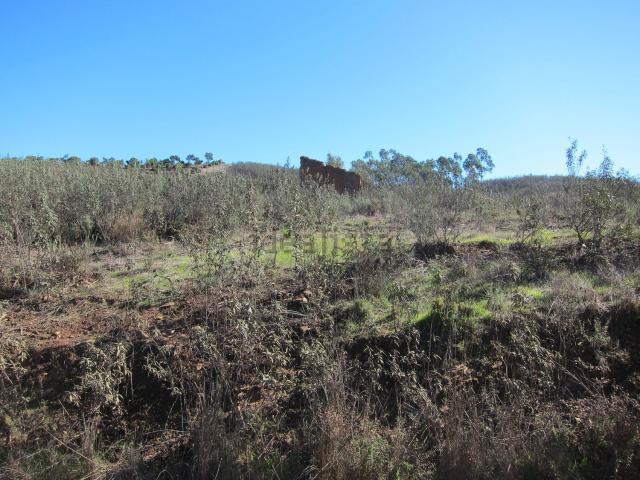Terreno, Mexilhoeira Grande