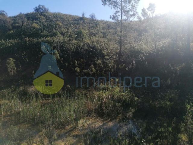 Terreno, Mexilhoeira Grande