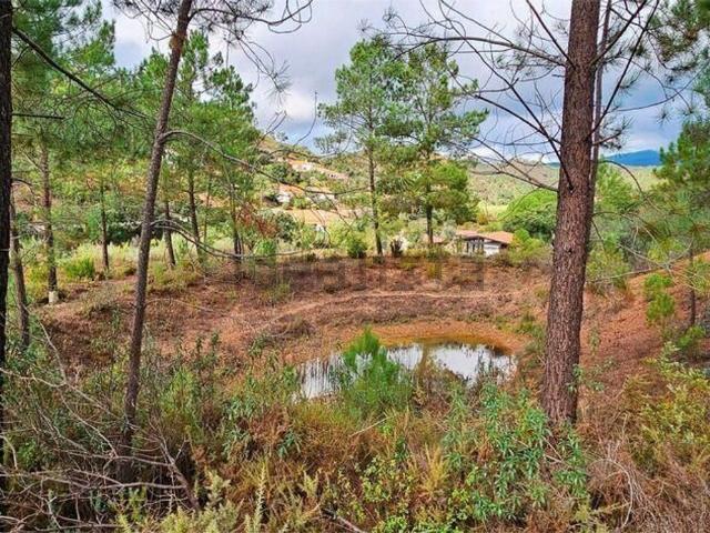 Terreno, Mexilhoeira Grande