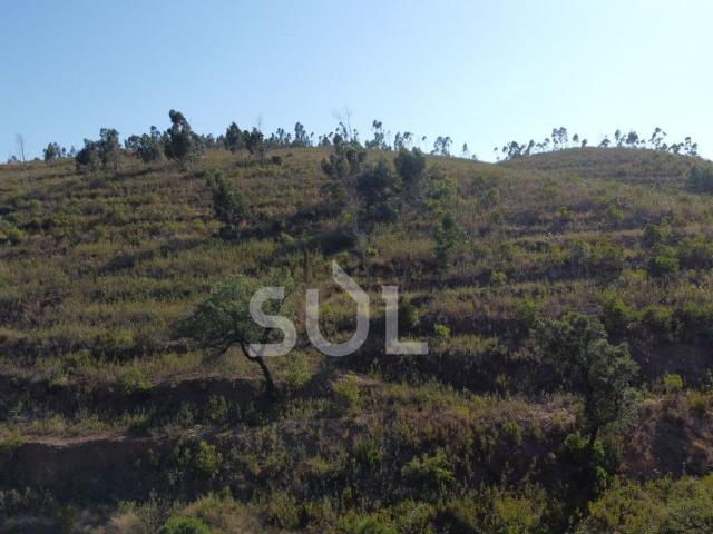 Terreno, Mexilhoeira Grande