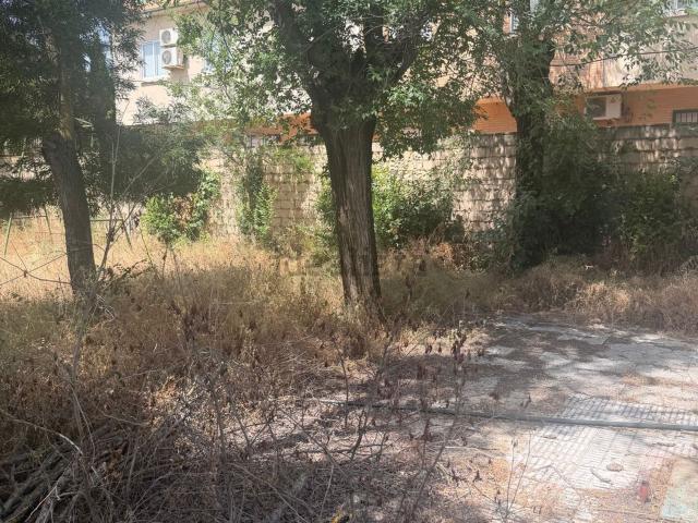Terreno, Miguelturra