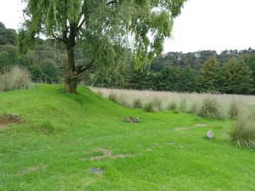 Terreno mide 30,000m2
