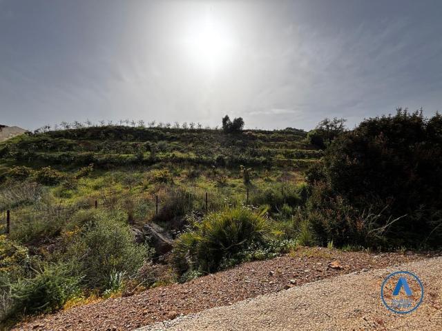 Terreno, Mijas