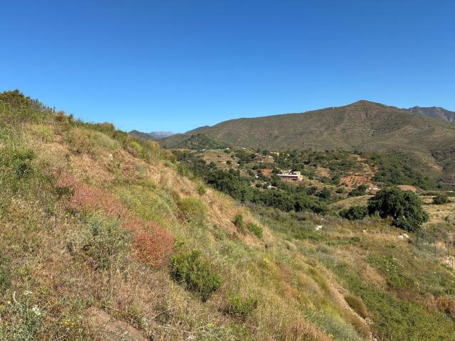 Terreno, Mijas
