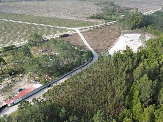 Terreno Misto, Moita, Marinha Grande | BPI Expresso Imobiliário