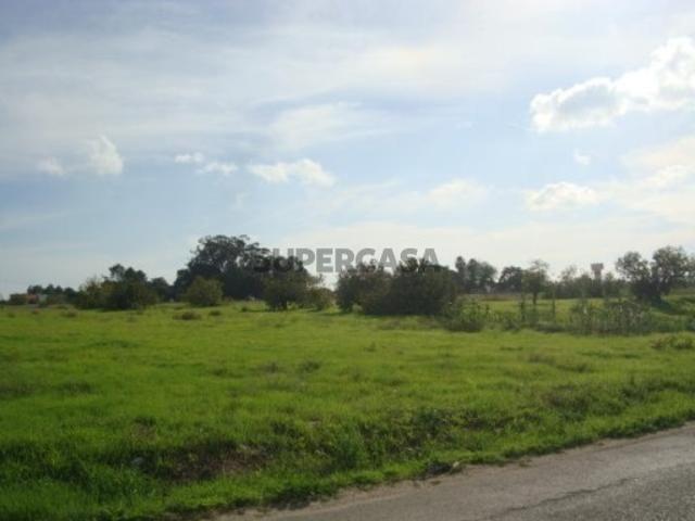 Terreno Misto, Montijo Setúbal, 59.880 m2