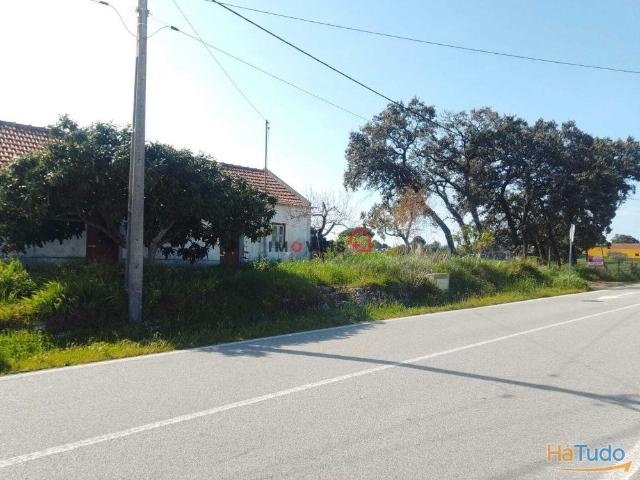 Terreno Misto Alto dos Fornos Tremês | 26084078934