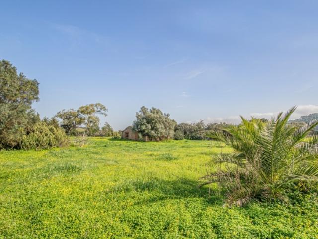 Terreno misto com 61.600m² e ruínas