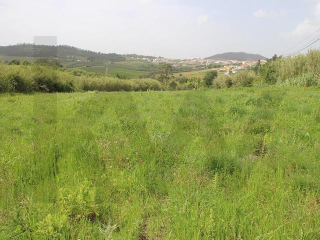 Terreno Misto com 8.250m² | Barras – Mafra Entre Mafra, Ericeira, Torres Vedras e Lisboa