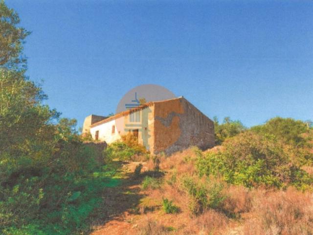 Terreno misto com 9120 m2 com Ruina de 102 m2!