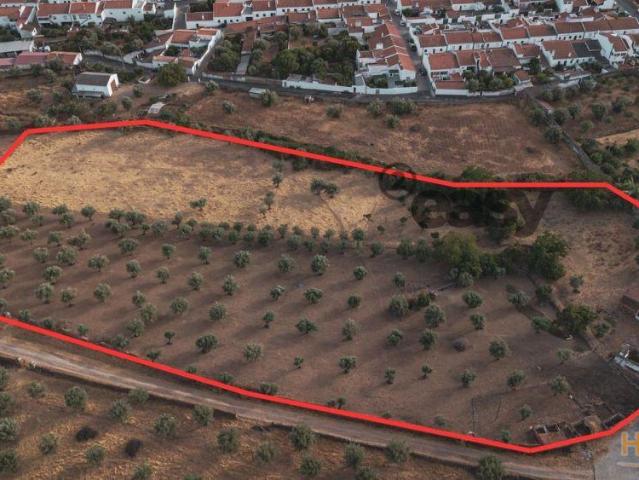 TERRENO MISTO COM 1,65 HA PARA VENDA EM PORTEL | 26064039488