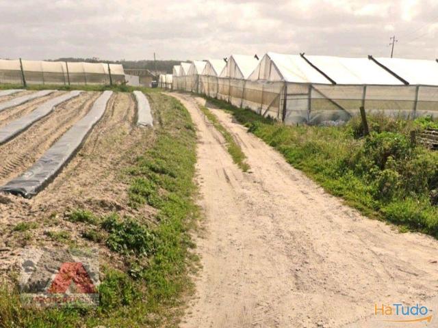 Terreno Misto com area 9680 m2, na Silveira, Torres Vedras, Lisboa, Portugal | 26084062989