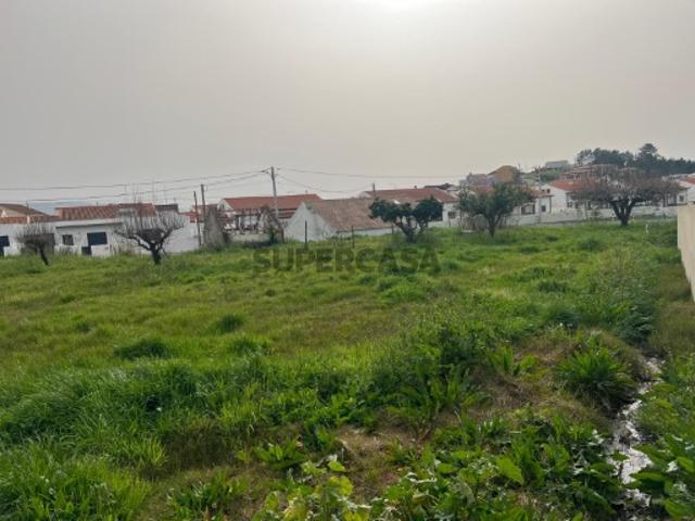 Terreno Misto, com excelente potencial construtivo A 2 Minutos da Vila do Cadaval