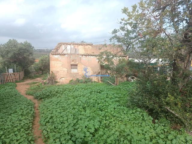 Terreno misto com ruina Guia/ Montes Juntos