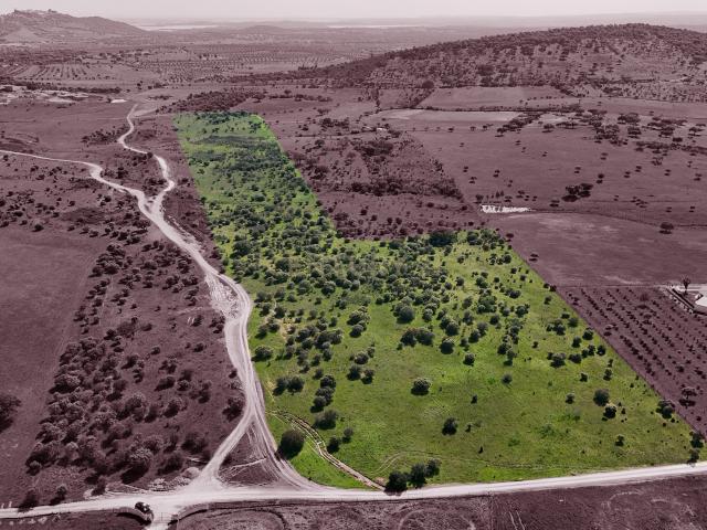 Terreno Misto em Monsaraz, Reguengos de Monsaraz