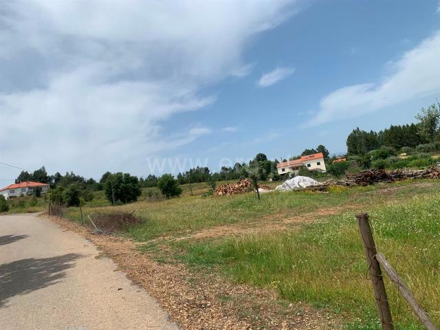 Terreno Misto / Fundão, Enxames