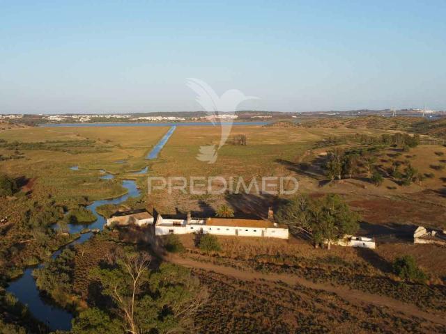 Terreno misto junto ao Guadiana, 125ha, com ruína de 1005m2