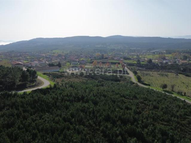 Terreno Misto, São Martinho de Antas e Paradela de Guiães, Sabrosa | BPI Expresso Imobiliário