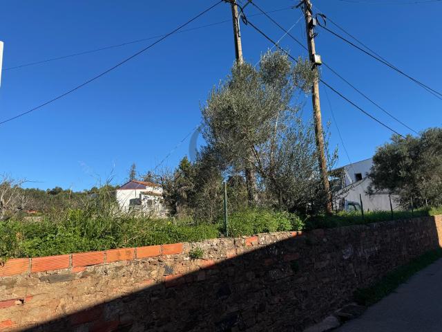 Terreno misto – Sarnadas Alte