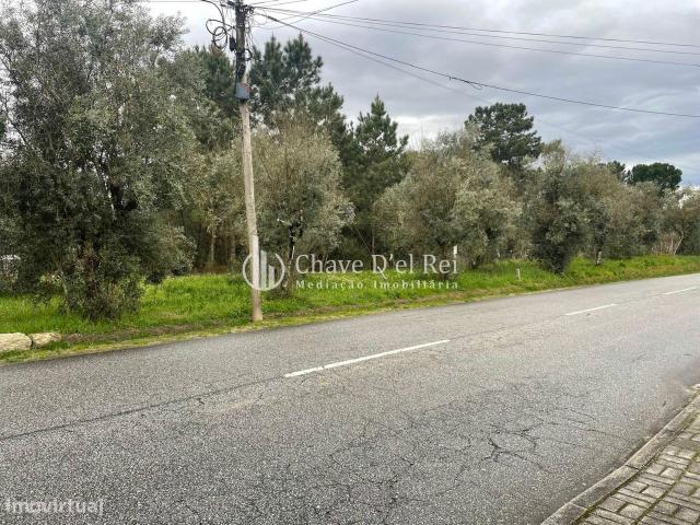 Terreno Misto Venda em Carvalhal Redondo e Aguieira,Nelas