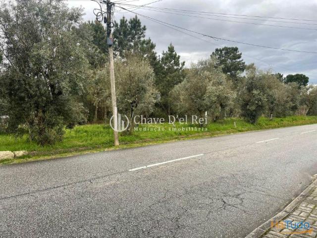 Terreno Misto Venda em Carvalhal Redondo e Aguieira,Nelas | 25053931505