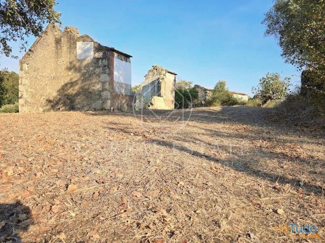 Terreno Misto Venda em Torres Novas São Pedro, Lapas e Ribeira Branca,Torres Novas | 26063925138