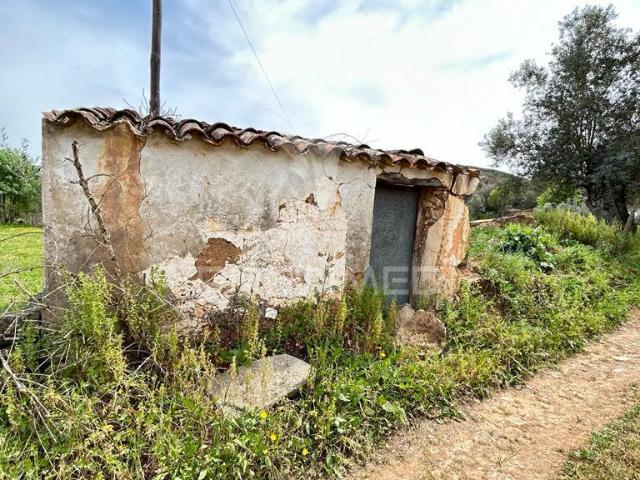 Terreno Misto