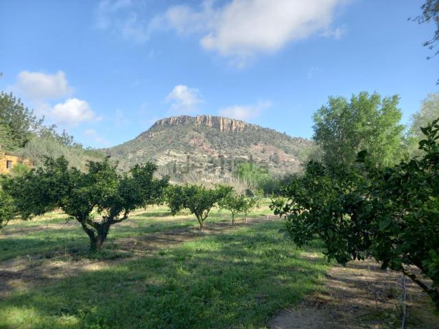 Terreno, Miravet