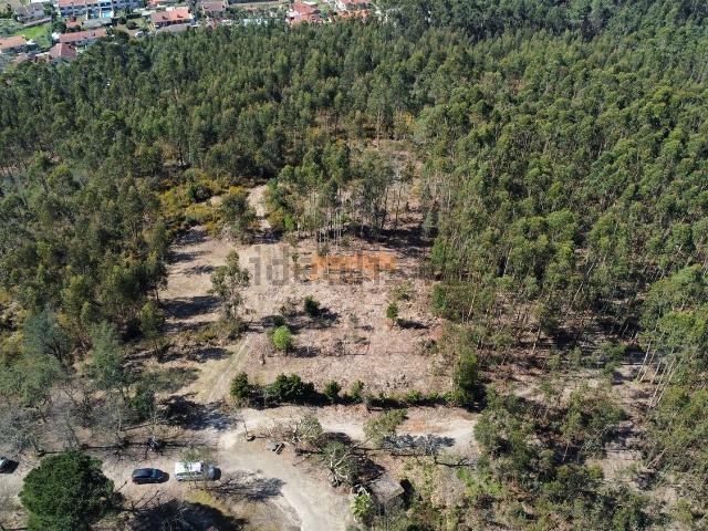 Terreno, Mire de Tibães