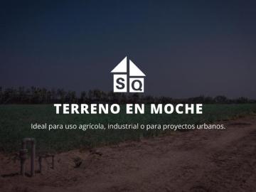 Terreno Moche