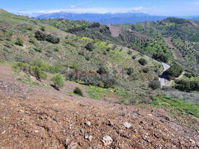 Terreno, Moclinejo