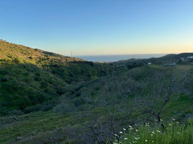 Terreno, Moclinejo