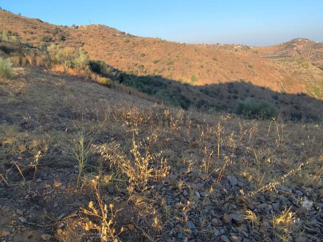 Terreno, Moclinejo