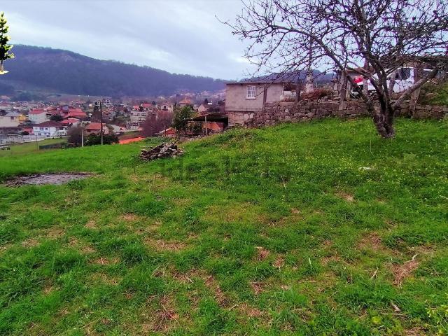Terreno, Moaña