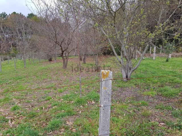 Terreno, Moaña