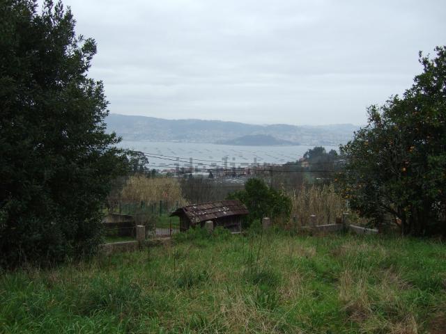 Terreno, Moaña