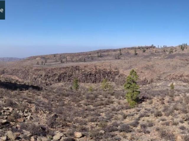 Terreno, Mogán