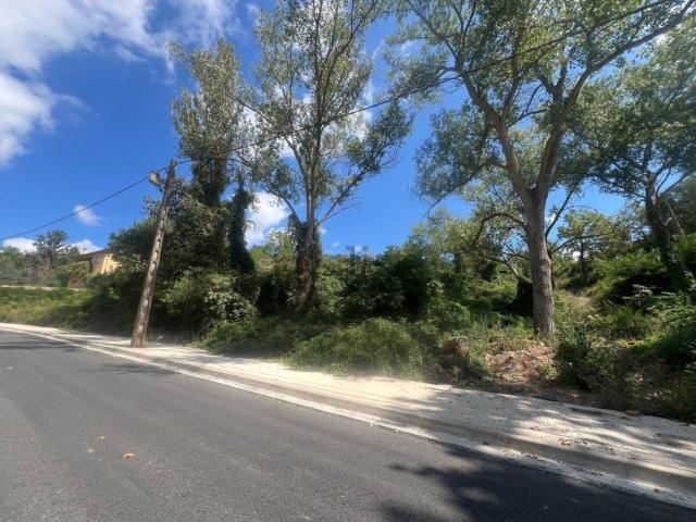 Terreno, Moià