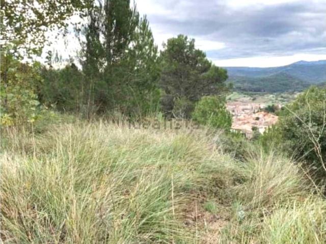 Terreno, Moià