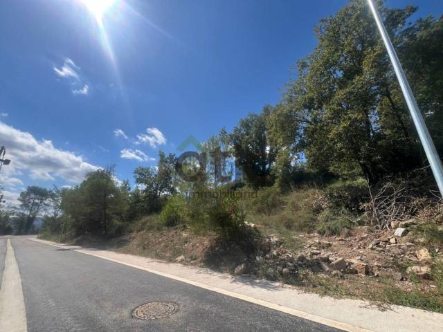 Terreno, Moià