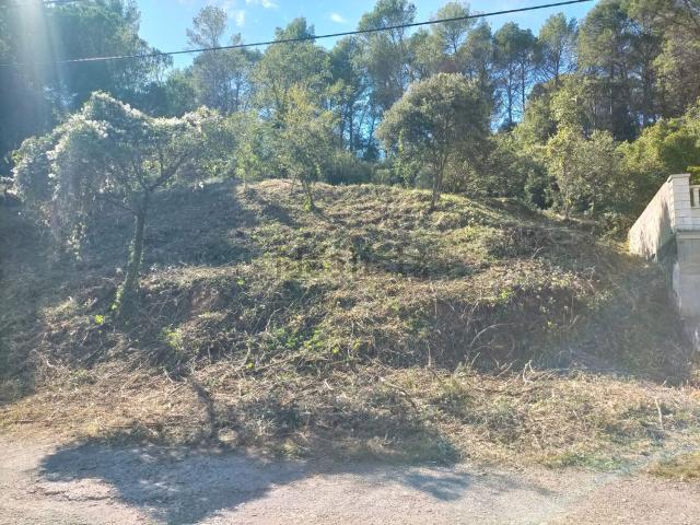 Terreno, Moià