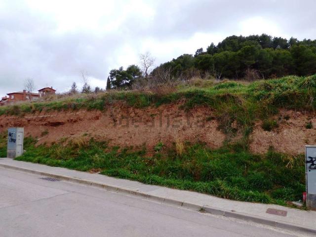 Terreno, Moià