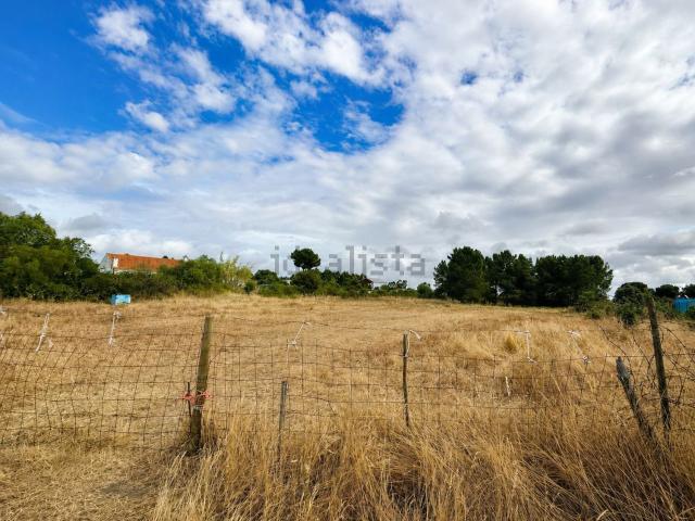 Terreno, Moita