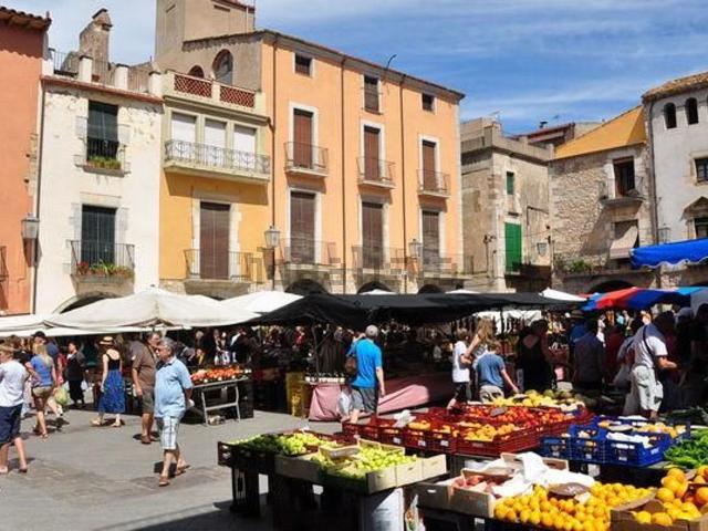 Terreno, Molí de Vent La Sauleda Santa Margarida, Palafrugell