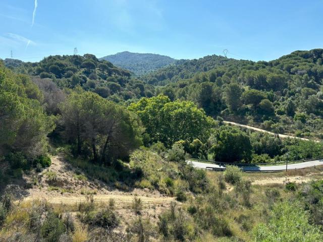 Terreno, Molins de Rei