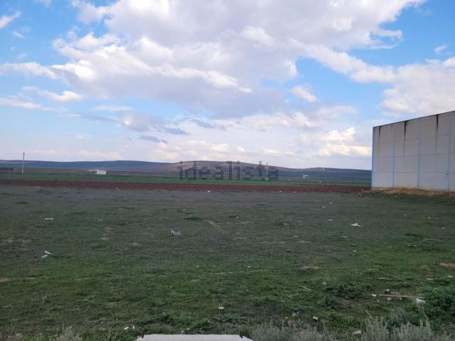 Terreno, Mollina